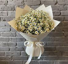 Букет цветов из:  Ромашки #REPLACE_PRED# Промышленной